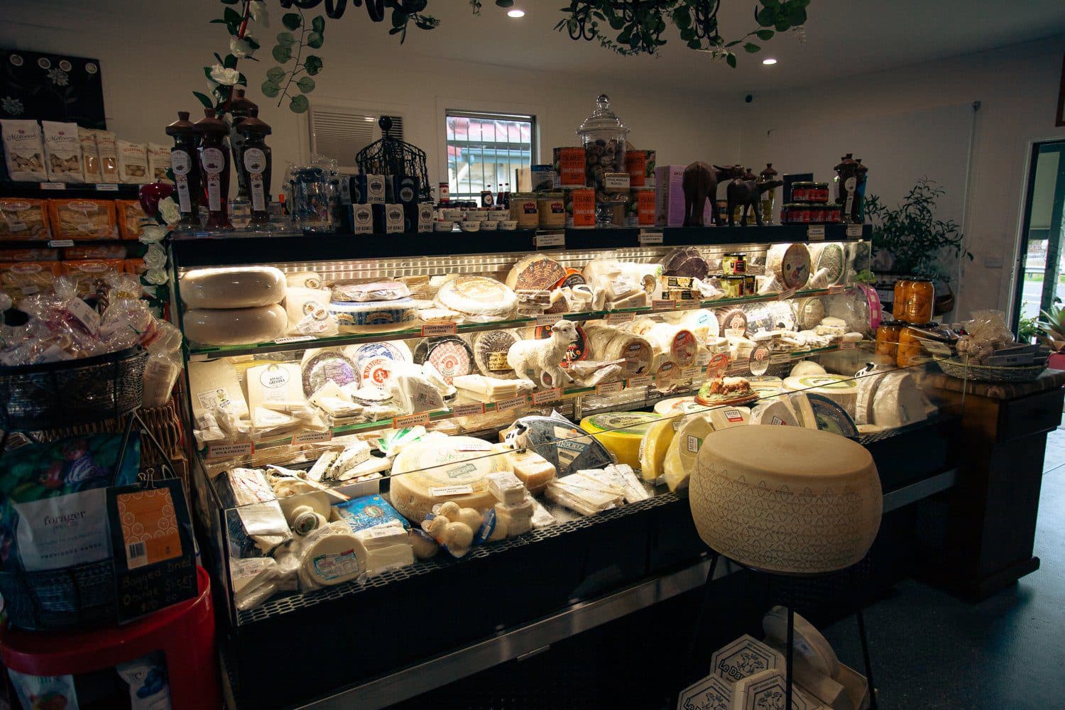 Dhezi Deli